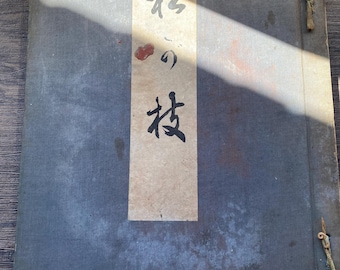 Antiek Japans boek met houtsneden