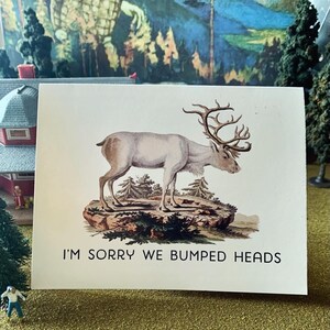 Elk - I’m sorry we bumped heads - Folded card