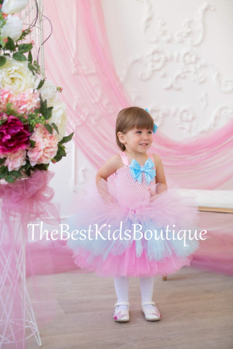 Baby Tutu Dress 1st Birthday Dress Pastels Pink Blue Tutu Etsy