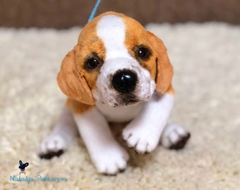 beagle teddy