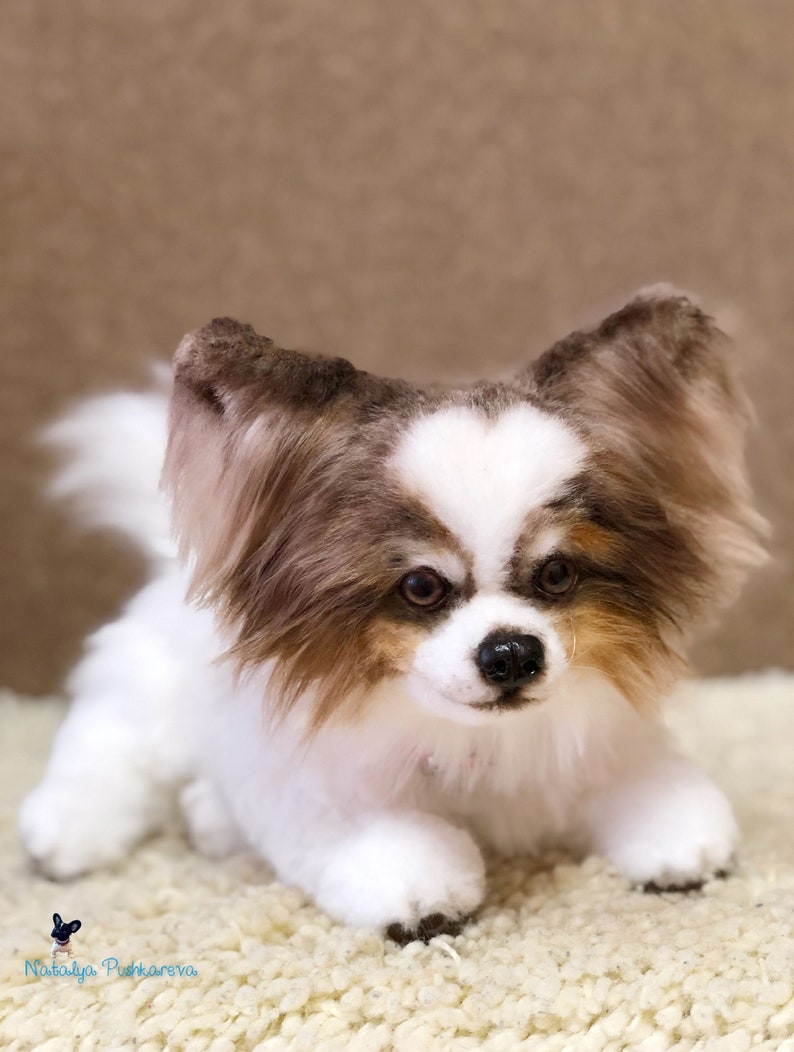 Realistic toy papillon puppy/dog 118 in 30cm MADE TO ORDER Etsy