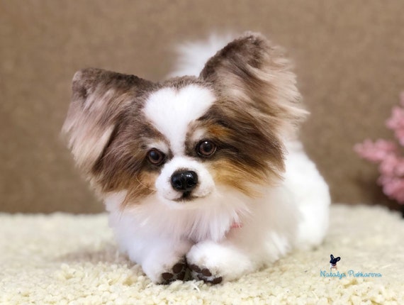 Realista Juguete Papillon Cachorro Perro 118 In 30cm Etsy