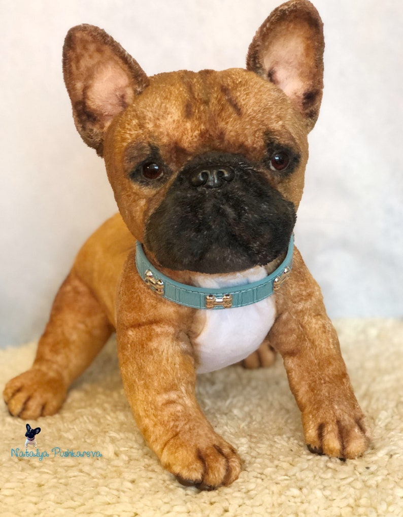 Realistic toy Dog/puppy French Bulldog 146 in 37cm MADE TO | Etsy