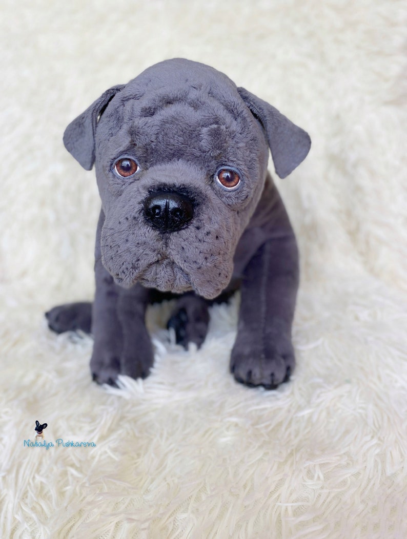 Realistic toy Cane Corso puppy/dog 165 in42cm MADE TO Etsy