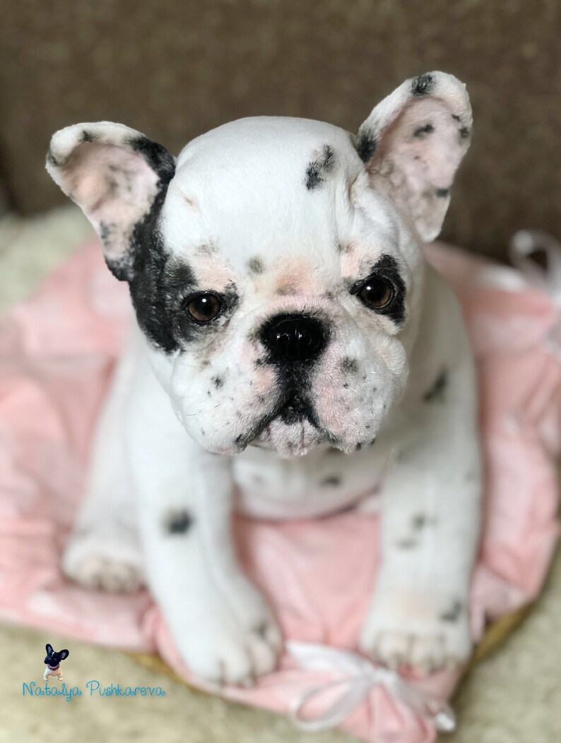 Realistic toy French Bulldog puppy/dog 15 in38 cm MADE TO Etsy