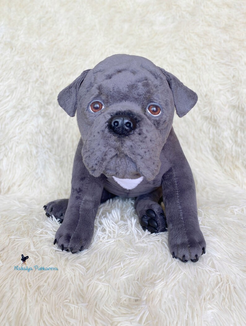 Realistic toy Cane Corso puppy/dog 165 in42cm MADE TO Etsy