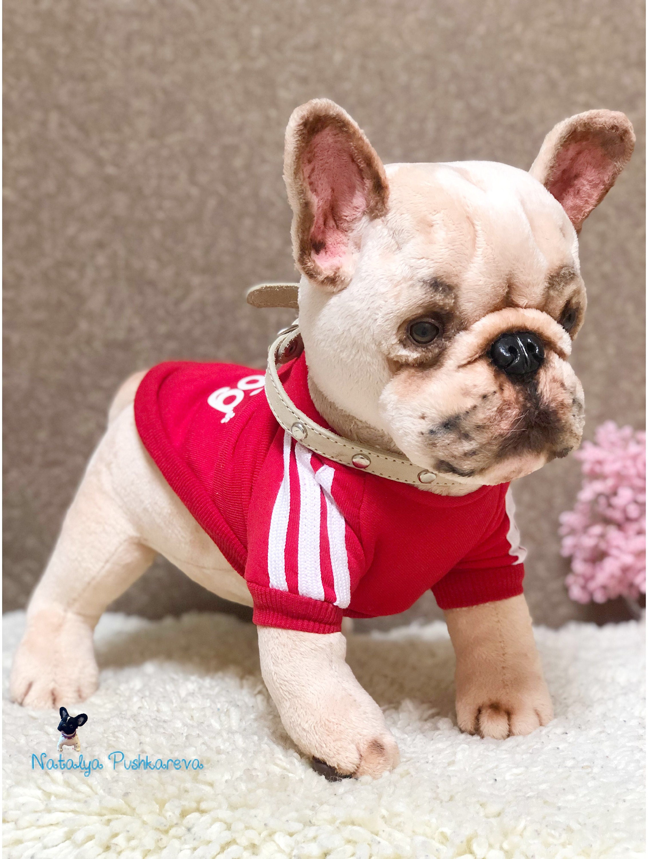 Realistic toy French Bulldog puppy/dog 146 in37 cm MADE TO Etsy