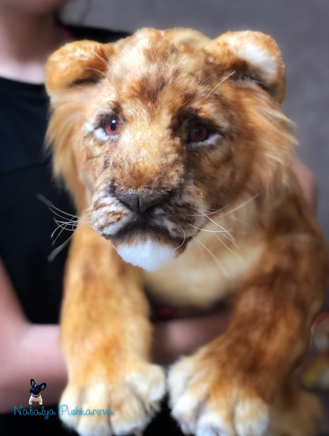 Realistic Toy Lion Cub 217 in 55cm MADE TO ORDER | Etsy