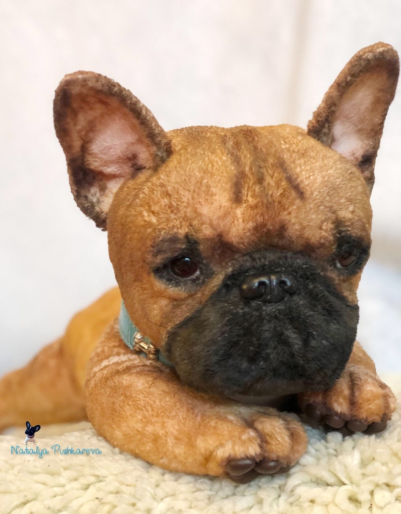 Realistic toy Dog/puppy French Bulldog 146 in 37cm MADE TO Etsy