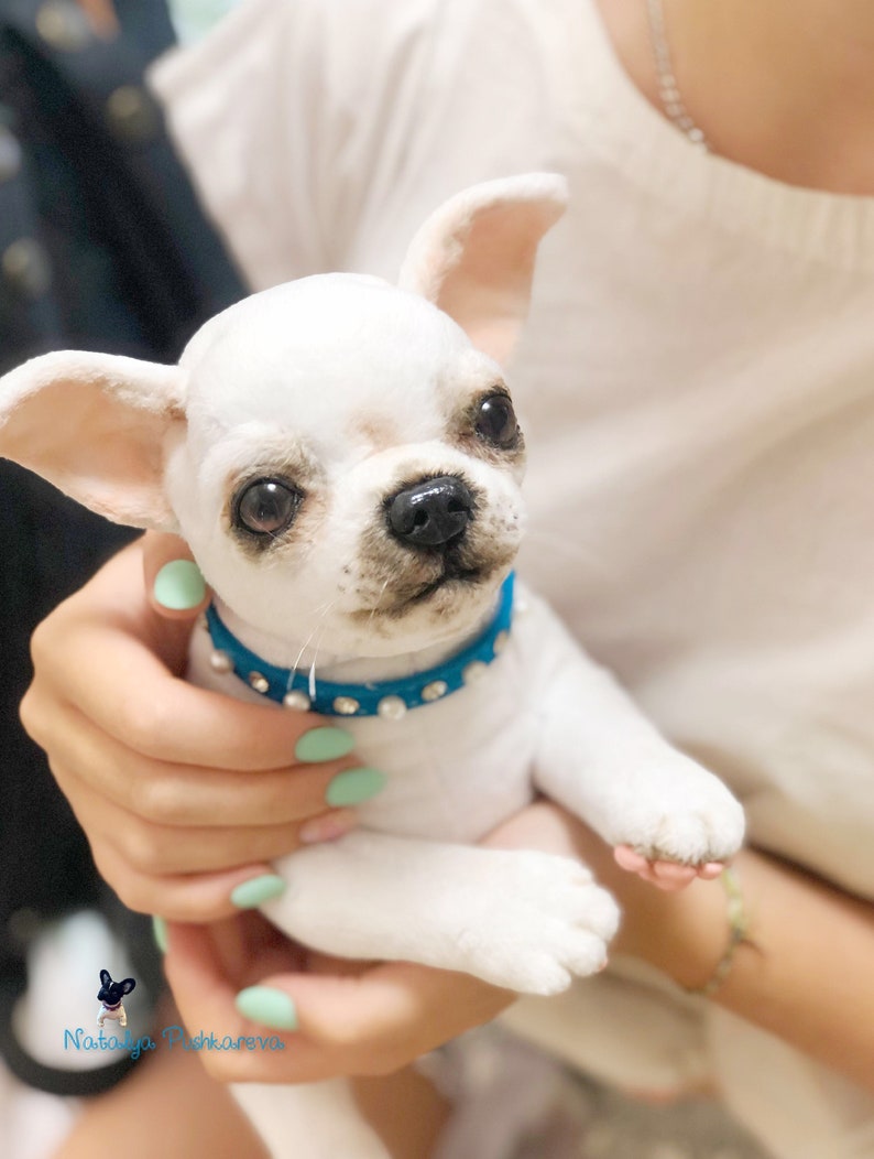 Realistic toy puppy Chihuahua 106 in27cm made to order Etsy