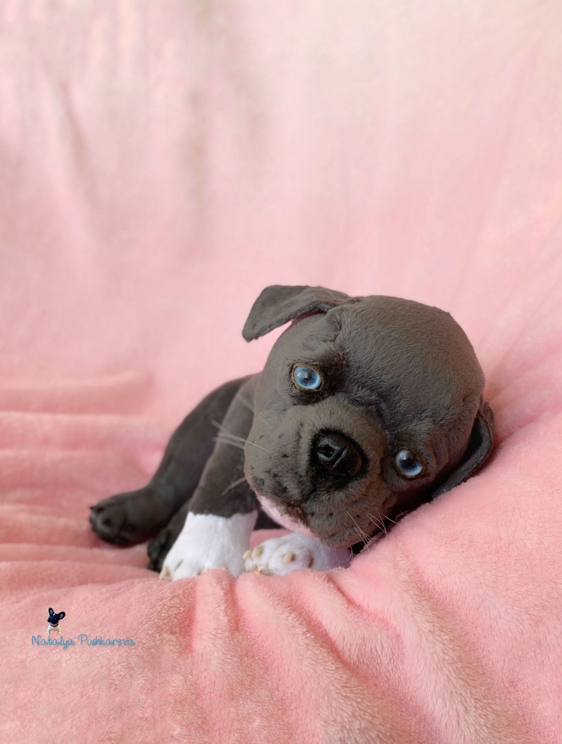 Realistic toy american pit bull terrier Dog/ puppy 118in Etsy