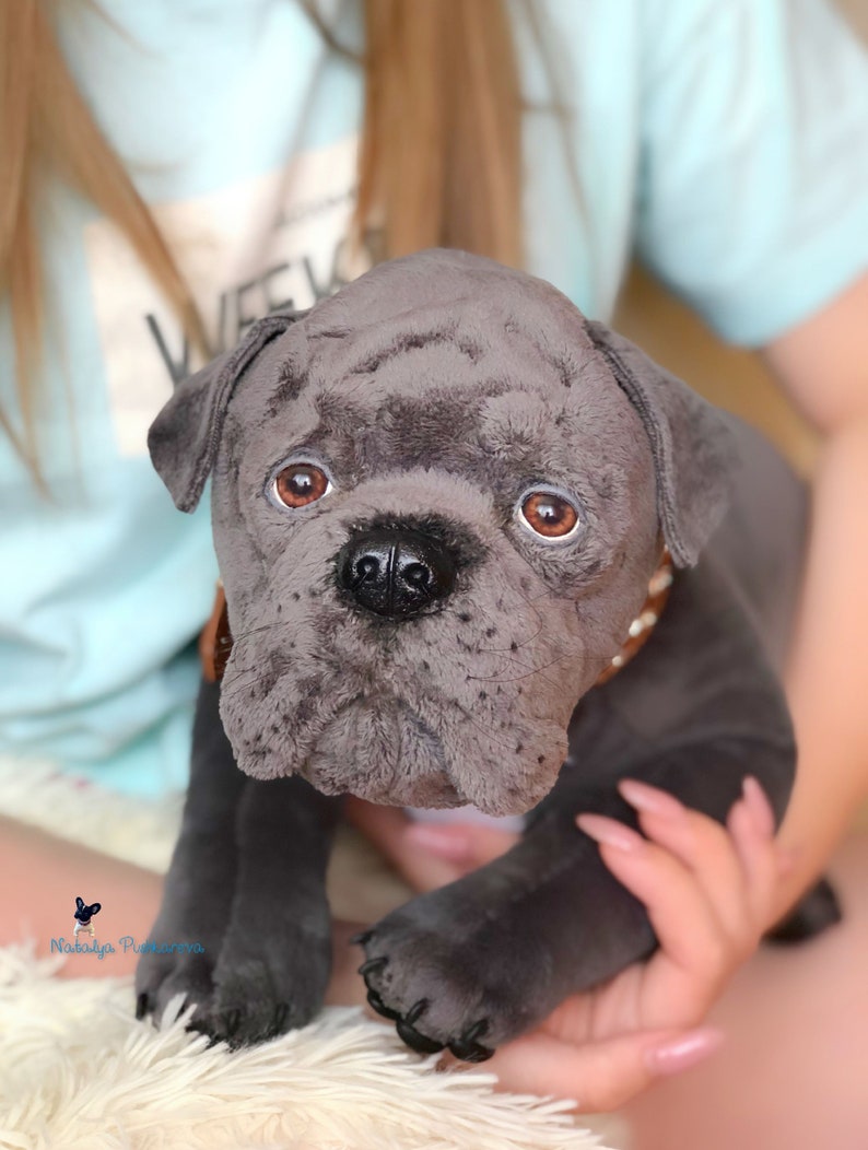 Realistic toy Cane Corso puppy/dog 165 in42cm MADE TO Etsy