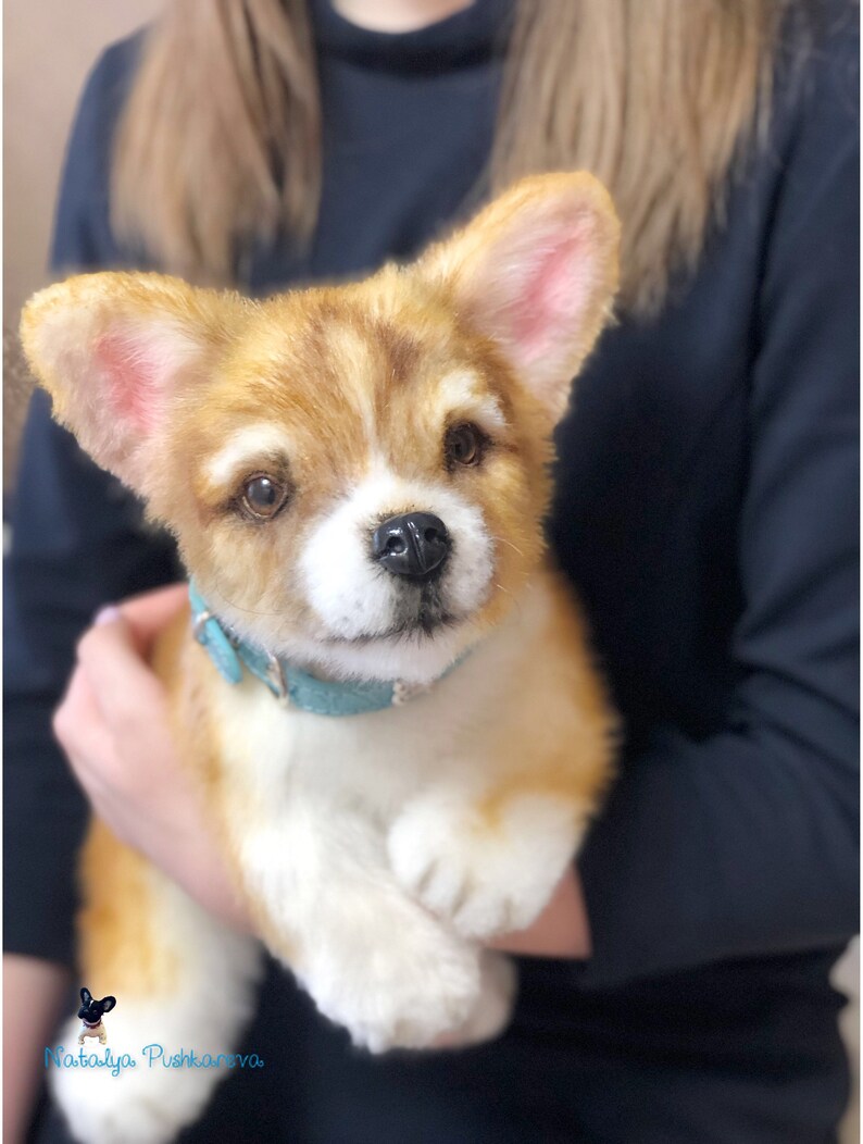 Welsh puppy/dog 13 in 33 cm realistic toy MADE TO Etsy