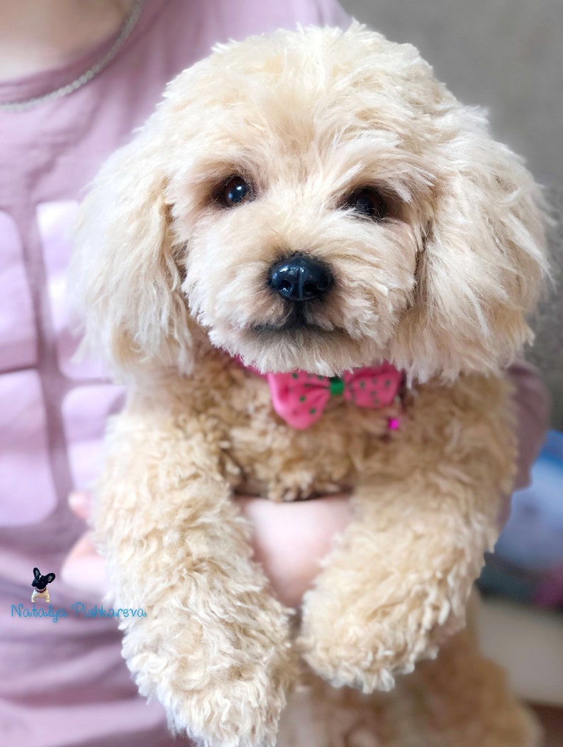 puppydog poodle 15 in realistic toy MADE TO ORDER 36 cm
