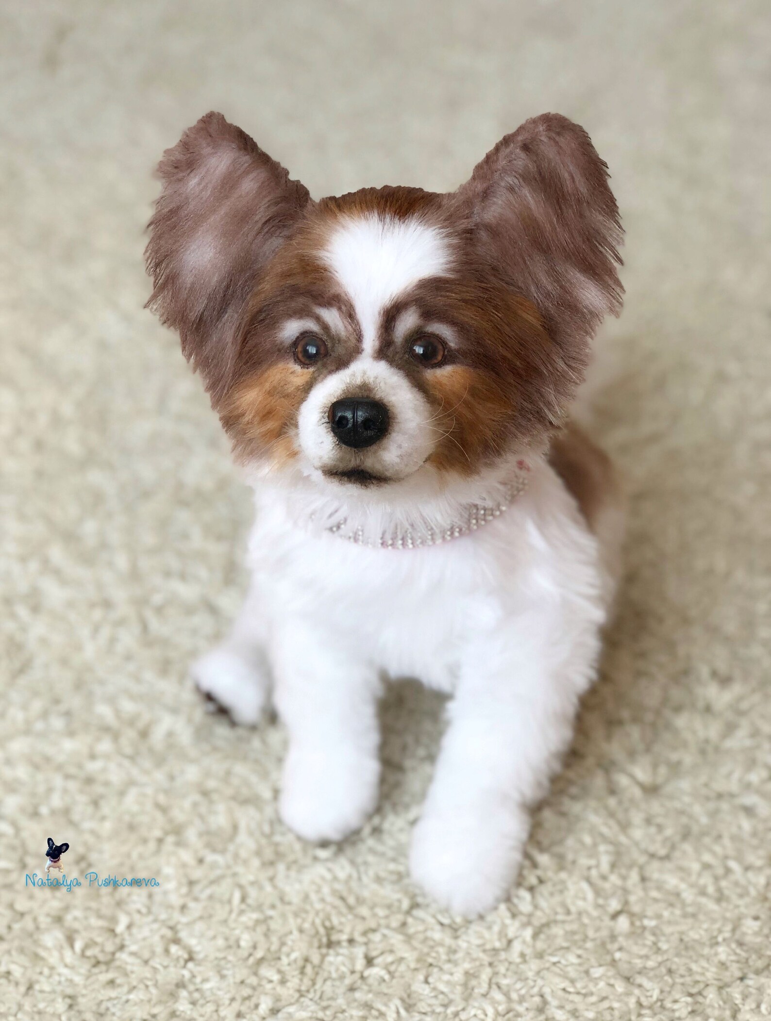Realistic toy papillon puppy/dog 153 in 39cm MADE TO ORDER Etsy
