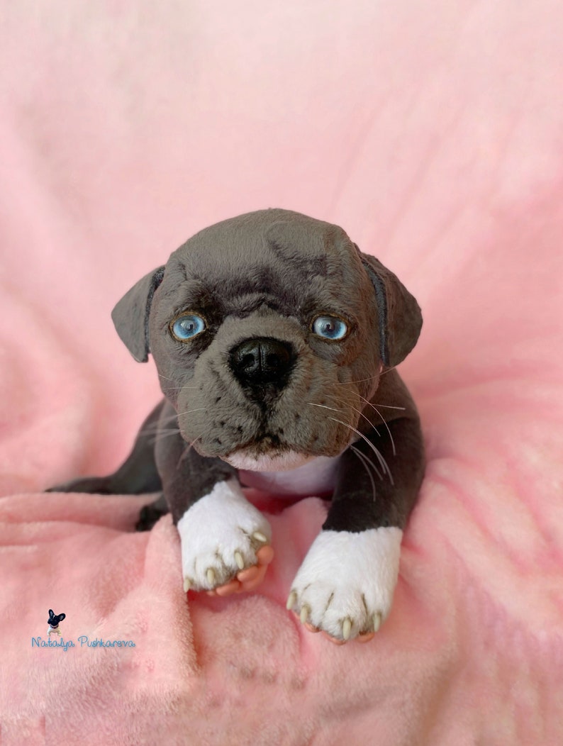 Realistic toy american pit bull terrier Dog/ puppy 118in Etsy