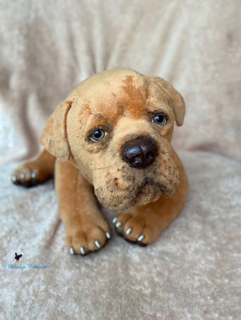 Realistic toy Cane Corso puppy/dog 165 in42cm MADE TO Etsy