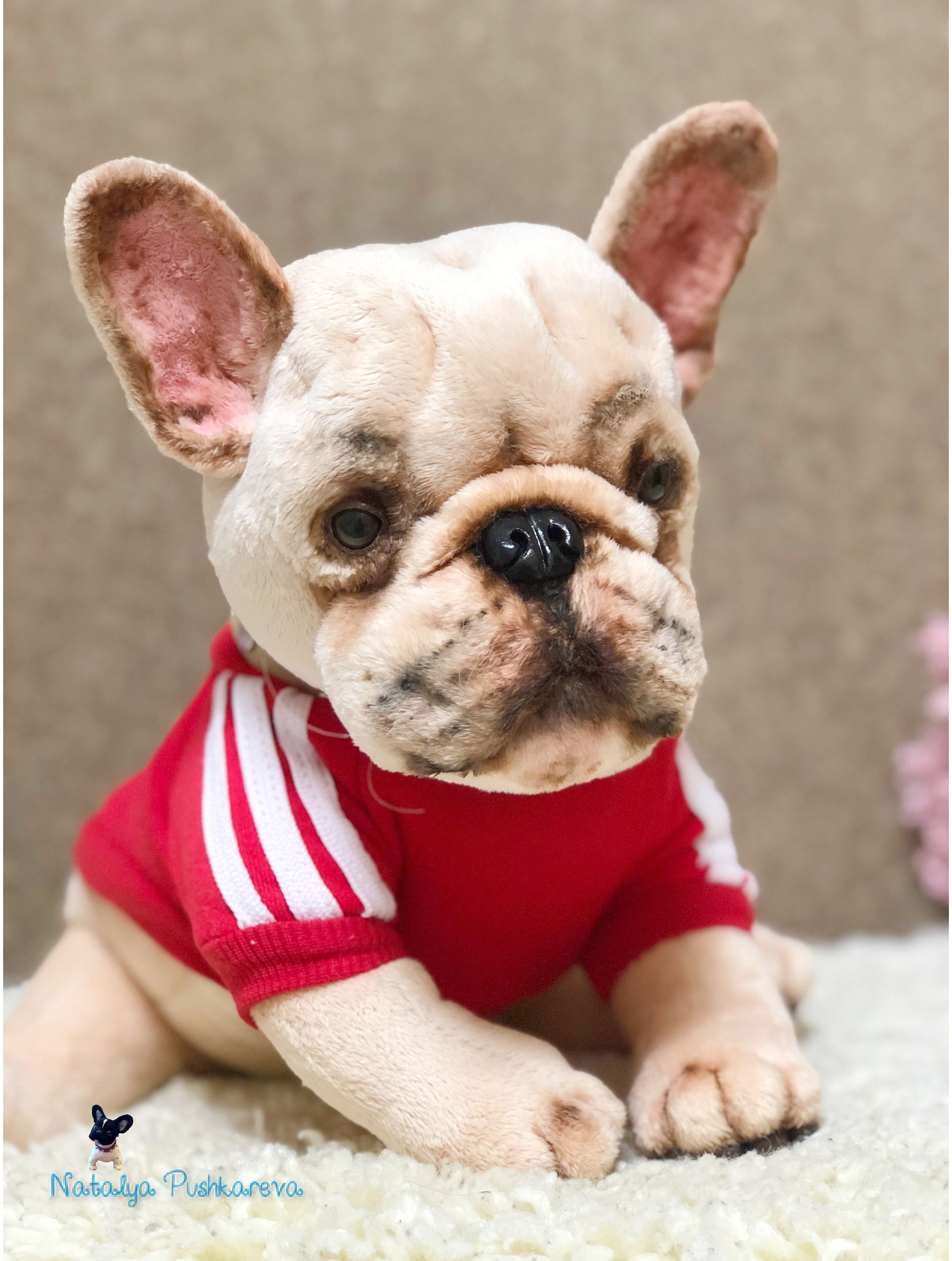 Realistic toy French Bulldog puppy/dog 146 in37 cm MADE TO | Etsy