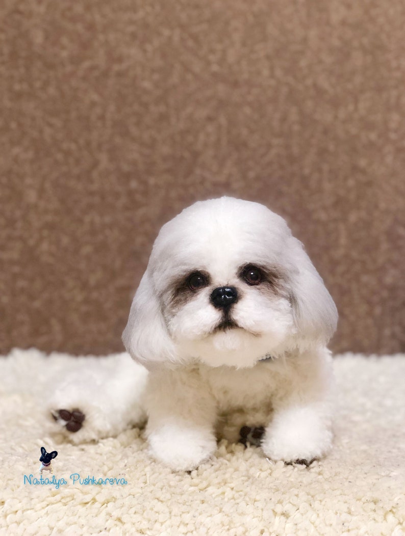 Realistic toy Dog/puppy shih tzu 12 in30cm MADE TO ORDER Etsy