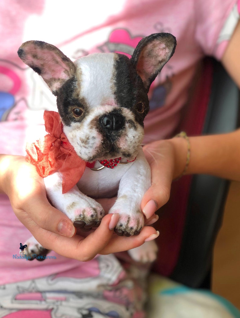 Realistic toy French Bulldogs puppy/dog 79in 20 cm Made to Etsy