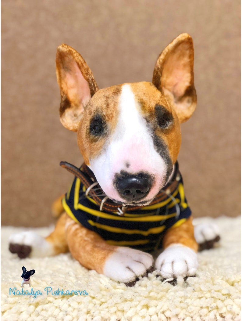 bull fit dog toy
