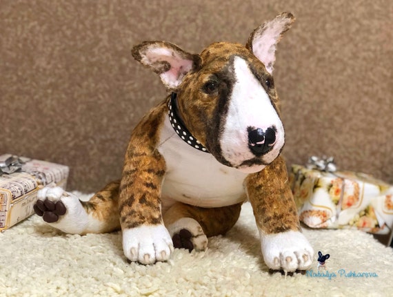 toy bull terrier
