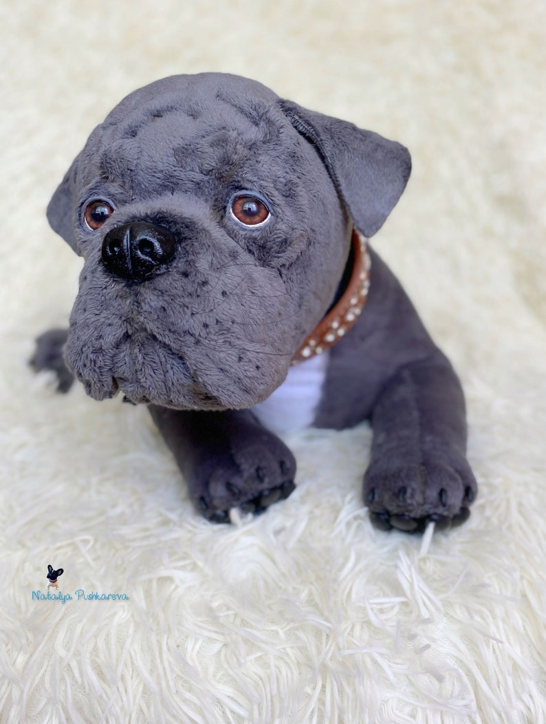 Realistic toy Cane Corso puppy/dog 165 in42cm MADE TO Etsy