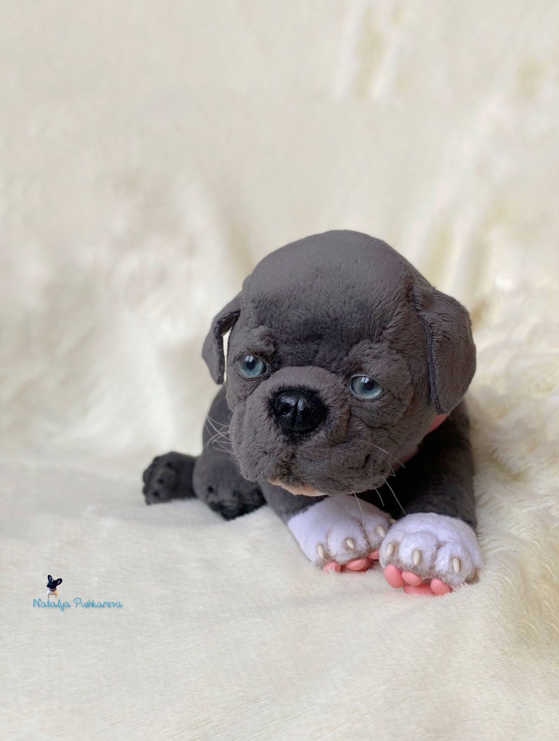 toy pitbull for sale
