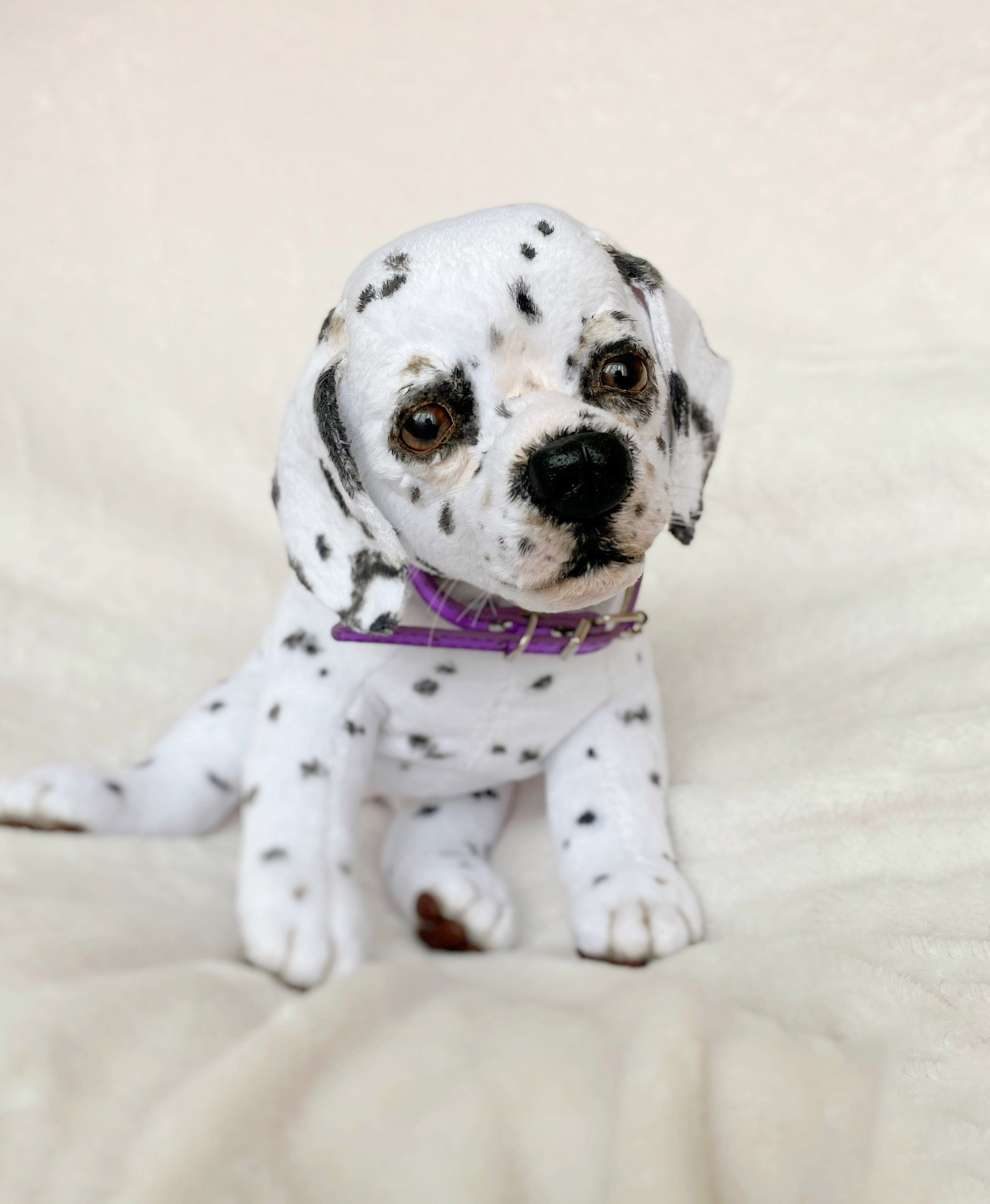 dalmatian doll