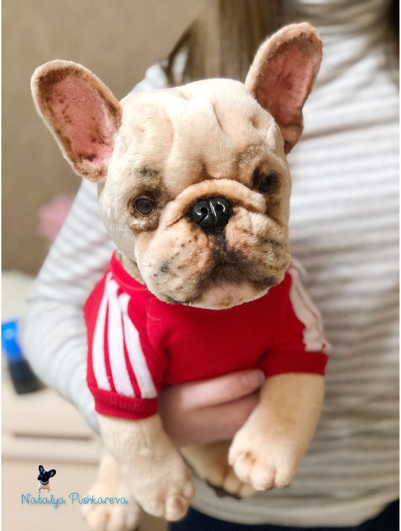 french bulldog doll