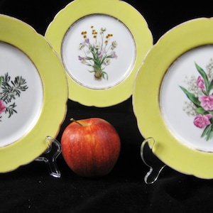 19thc - Fischer & Meig Hand-Painted Floral Plates - 1859-1873 - Pirkenhammer