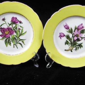 TWO Fischer & Meig Antique Bohemian Floral Plates - 1859-1873 - Pirkenhammer
