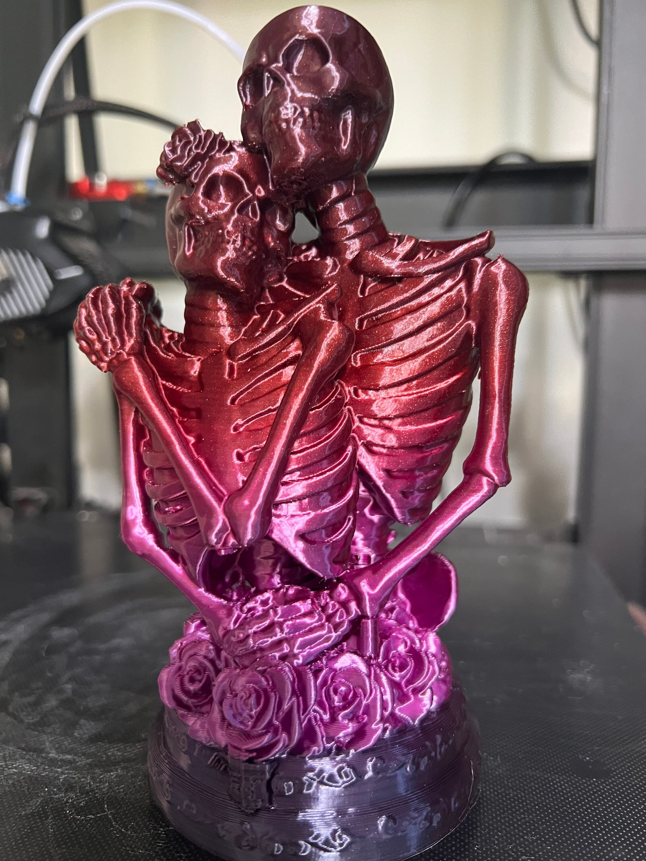 skeleton g