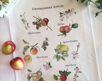 Linen tea towel printed with beautiful Oxfordshire apples - apples, tea towels, kitchen, linen, home decor, botanical illustration