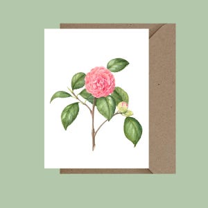 Camelia-wenskaart.