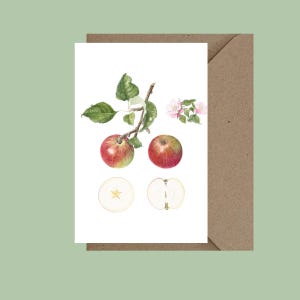 Cliveden apple card.