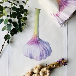 Garlic botanical tea towel. 100% linen. Robust and beautiful!