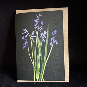 Carte jacinthe des bois