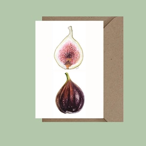 Fig card.