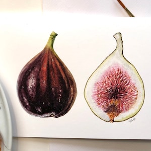 Fig card.