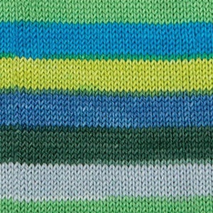 Knit Picks Felici self-striping sock yarn - NEW - Toucan x 2