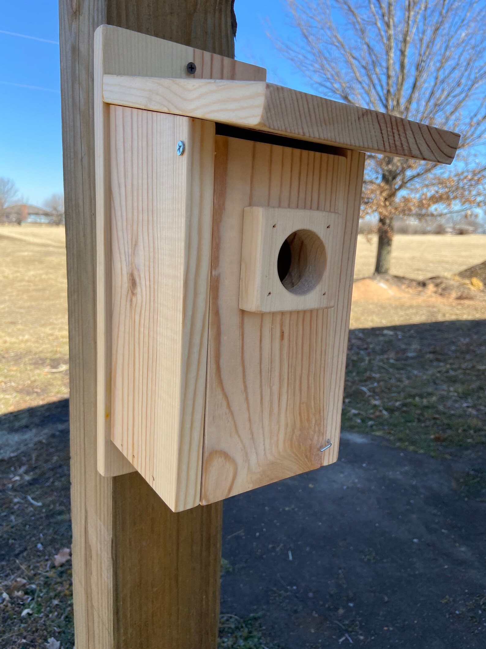 Bluebird House | Etsy