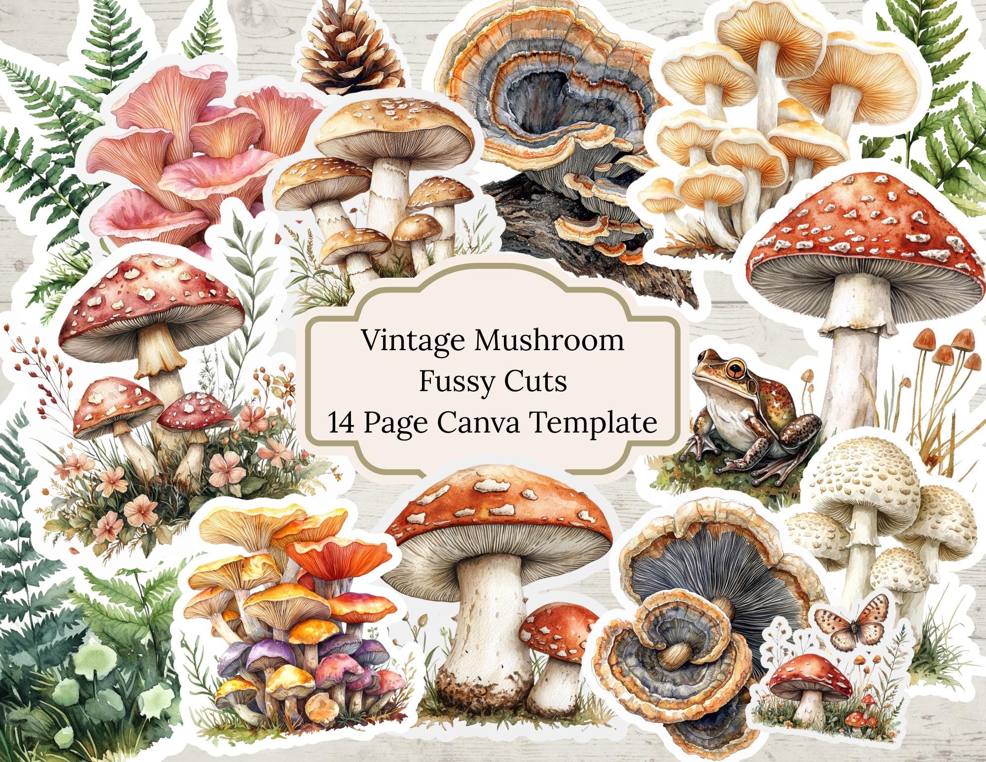 Inkcap mushroom - Etsy México, image size:2000x1545