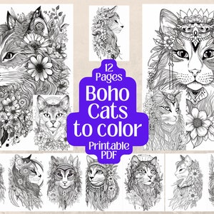 12 Boho Cat Coloring Pages - Majestic Cats with Flowers & Feathers - Printable PDF - Instant Digital Download