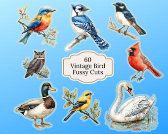 Vintage Bird Fussy Cuts: Printable Canva Template (Digital Download)