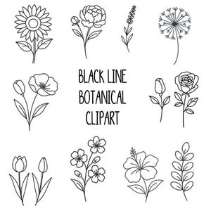 Paquete de imágenes prediseñadas de flores con líneas negras: 18 PNG, ilustraciones florales botánicas, fondo transparente, uso comercial, descarga digital