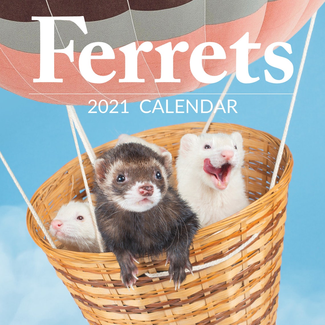 12x17 Ferret Calendar 2021 Photography Wall Calendar Funny | Etsy