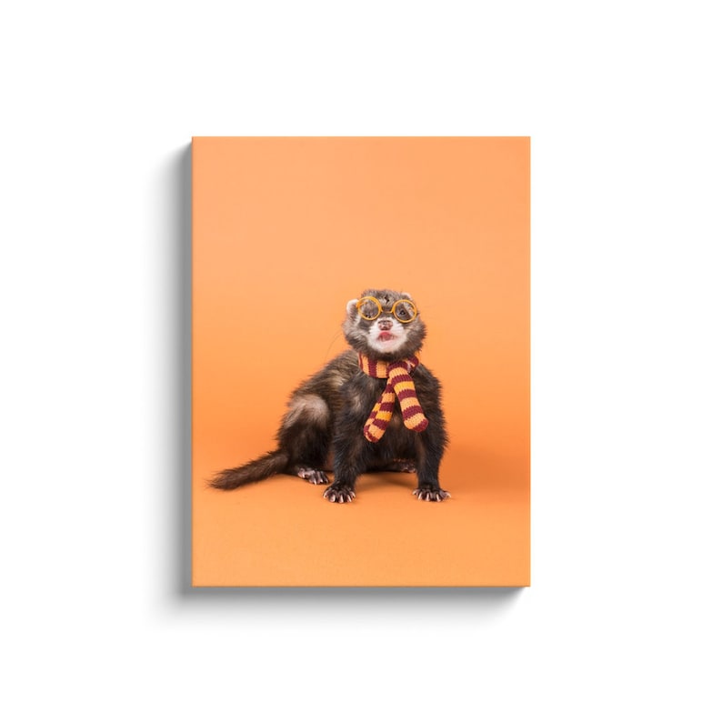 Orange Ferret Wearing Striped Scarf Canvas Print Ferret image 1
