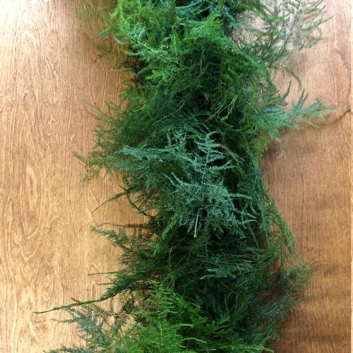 Fern Garland Greenery Garland Greenery Wedding Asparagus Etsy