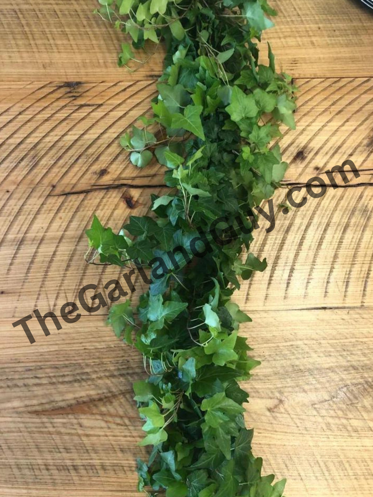 Freshly Cut Green Ivy Garland English Ivy Garland Real Etsy